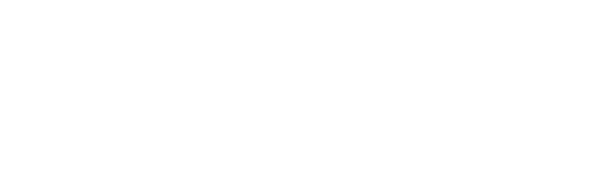 Saro logo